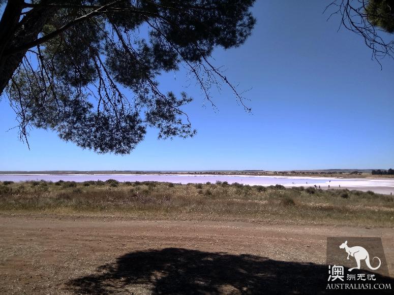 阿德莱德粉红湖(Bumbunga Lake)完全攻略,自驾跟团均适用