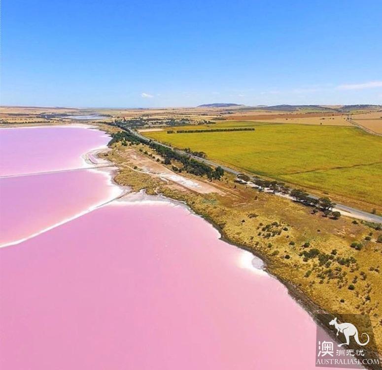 阿德莱德粉红湖(Bumbunga Lake)完全攻略,自驾跟团均适用