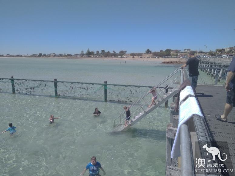 阿德莱德粉红湖(Bumbunga Lake)完全攻略,自驾跟团均适用