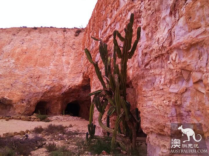 地下城市库伯佩迪(Coober Pedy)寻宝3日游