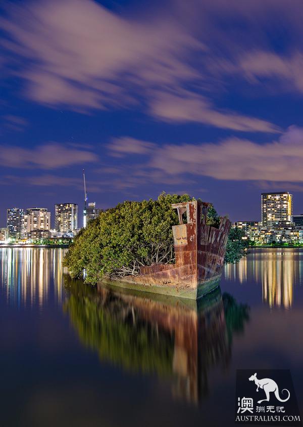 沉船森林，残骸也可以变绿洲，悉尼都市中的奇景