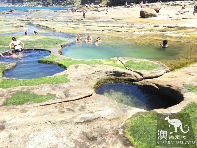 跋山涉水来看你,悉尼八字湖游记