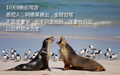 去澳洲旅游要多少钱?澳洲旅游费用知多少