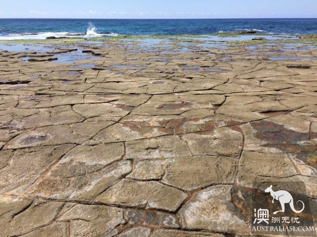跋山涉水来看你,悉尼八字湖游记