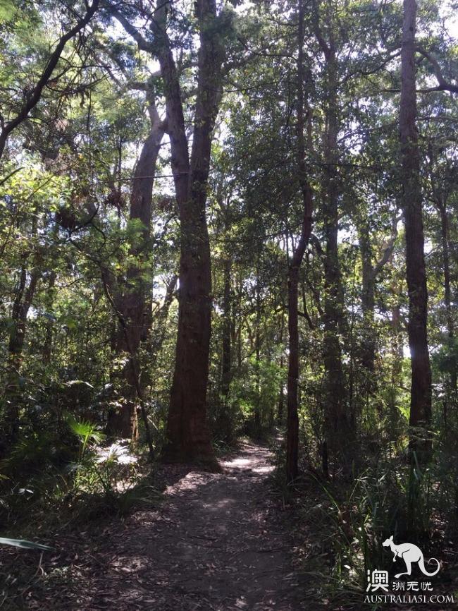 跋山涉水来看你,悉尼八字湖游记