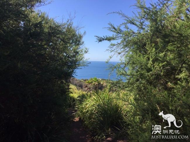 跋山涉水来看你,悉尼八字湖游记
