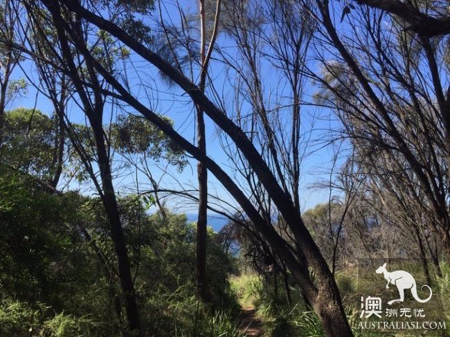 跋山涉水来看你,悉尼八字湖游记