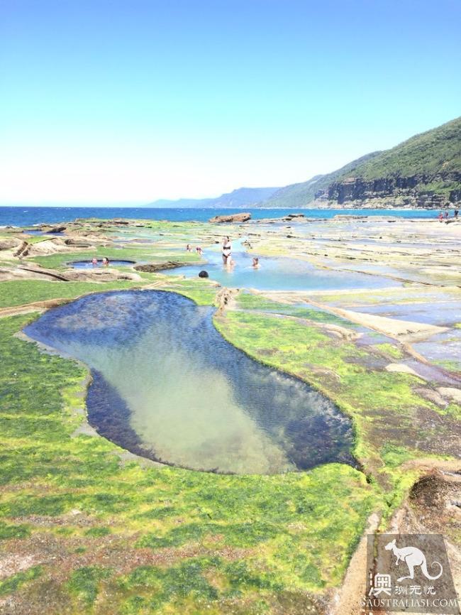 跋山涉水来看你,悉尼八字湖游记