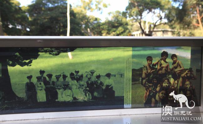 悉尼植物学湾:澳洲在这里被发现