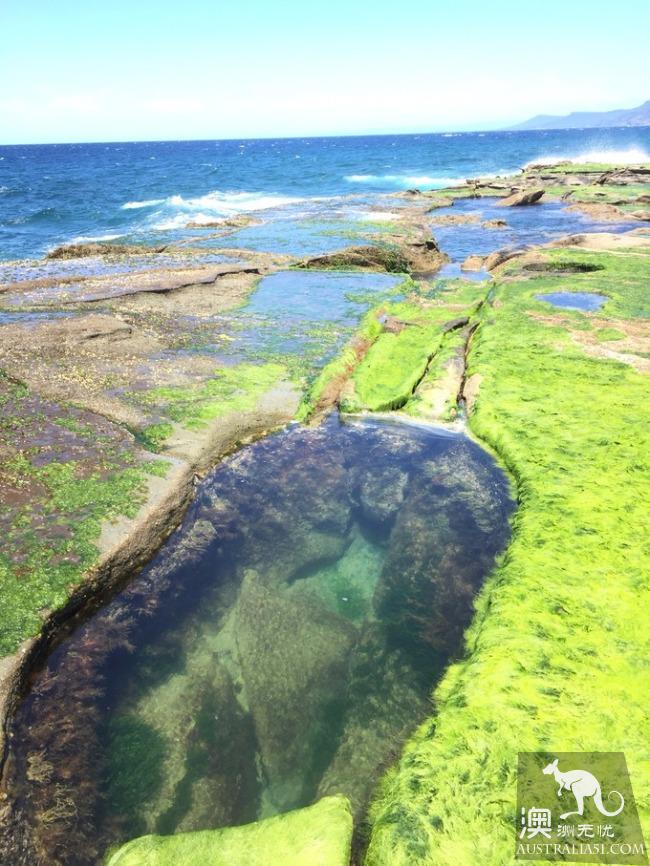 跋山涉水来看你,悉尼八字湖游记
