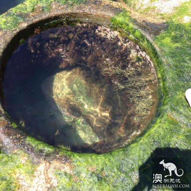 跋山涉水来看你,悉尼八字湖游记