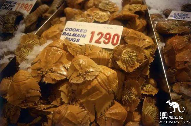 澳大利亚的这些特色美食,你值得尝试!