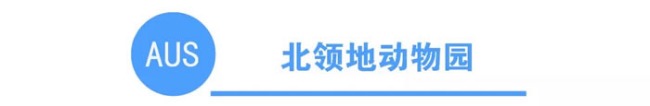 科普一下澳大利亚各州的动物园
