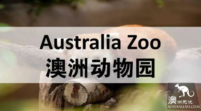 科普一下澳大利亚各州的动物园