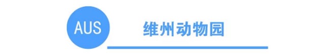 科普一下澳大利亚各州的动物园