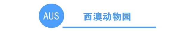 科普一下澳大利亚各州的动物园