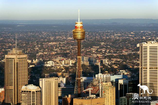 悉尼塔(Sydney Tower)的正确打开方式