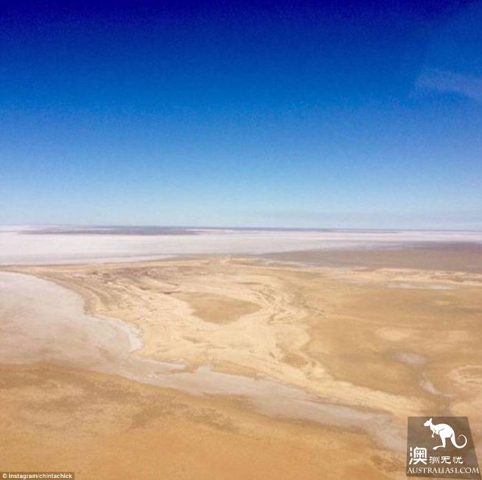 南澳的艾尔湖（Lake Eyre）开始变得色彩缤纷，吸引了大批游客前往
