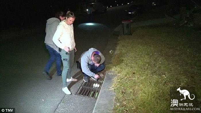 悉尼孕妇遭遇入室抢劫，身中6刀大难不死！