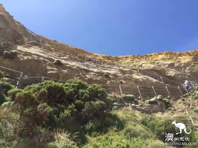 马炎: “十二门徒”其实从来就没有十二个,告诉你一些大洋路国家公园管理员才知道的小“秘密”