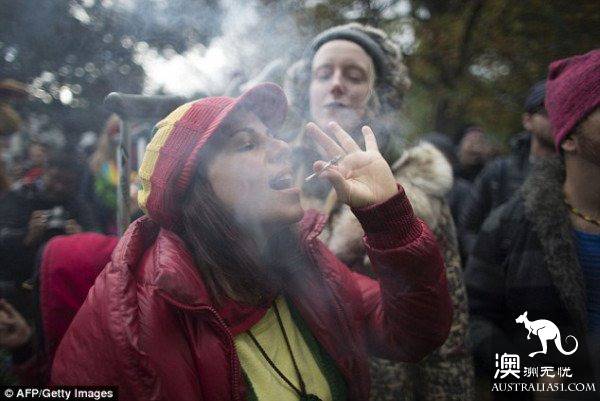澳洲是世界上大麻使用者比例最高的国家之一！应效仿加拿大，将大麻合法化？