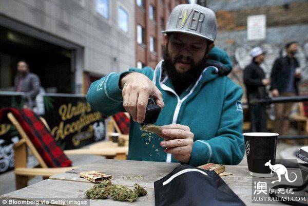 澳洲是世界上大麻使用者比例最高的国家之一！应效仿加拿大，将大麻合法化？