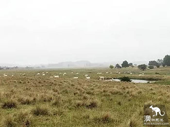 除了蓝山和猎人谷，悉尼周边还有这么多好玩的！