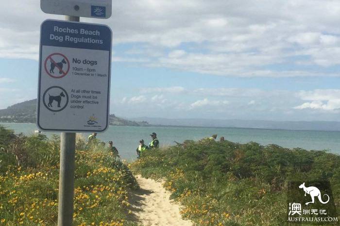 霍巴特男子在海边游泳被魔鬼鱼蜇死