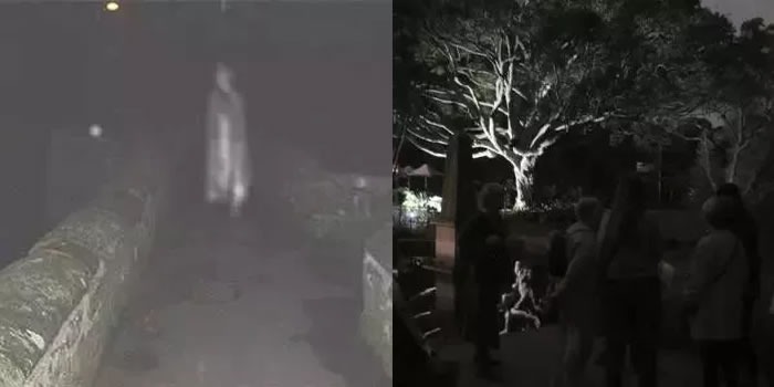 悉尼，那些你可能不知道的好玩地方