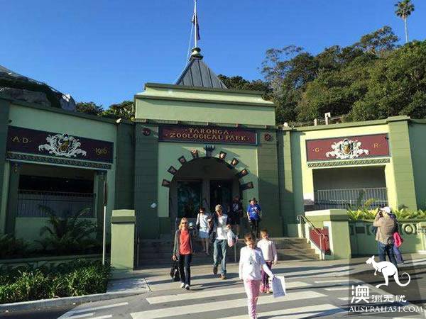 悉尼泰朗加动物园游玩攻略及动物表演时间