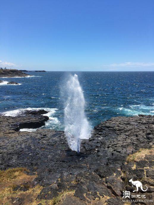 悉尼自驾游记:Jervis Bay,沙滩比基尼和拍照攻略