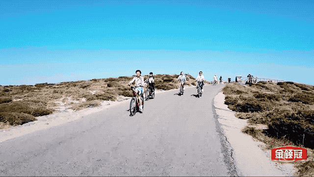 罗特尼斯岛全方位旅行“白皮书”，遇见小萌物短尾袋鼠Quokka吧！
