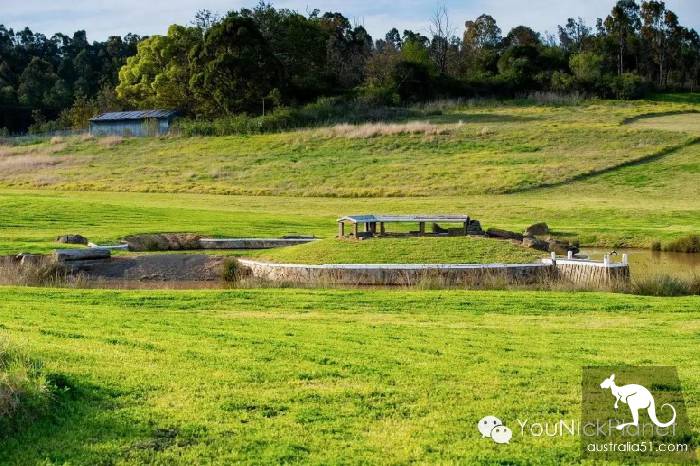 春天到了，到Western Sydney Parklands来场绿野仙踪吧