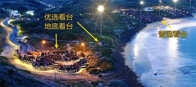 去菲利普岛(墨尔本企鹅岛)看企鹅归巢,门票价格和看台详解