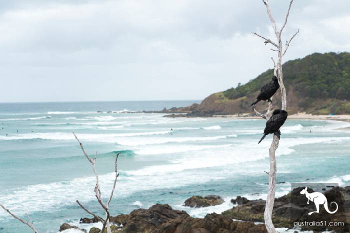 澳洲宝藏小镇拜伦湾(Byron Bay)交通攻略,上天、入海、看日出都可以!