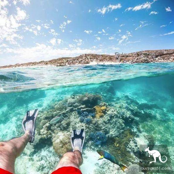 罗特尼斯岛全方位旅行“白皮书”，遇见小萌物短尾袋鼠Quokka吧！