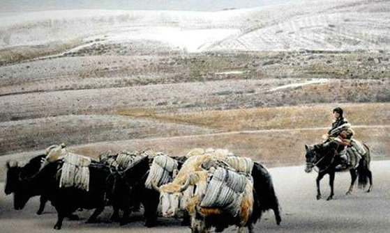 中国水彩画大师,刘寿祥不敌新冠肺炎在武汉去世