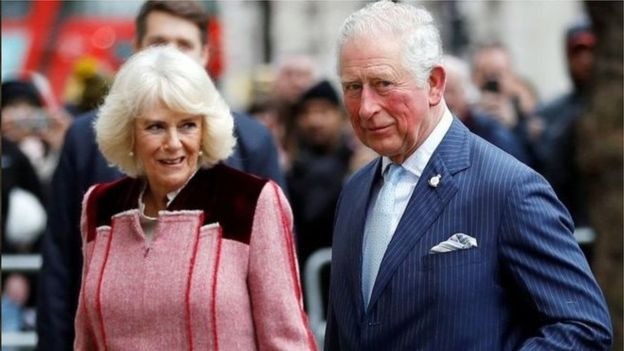 英国王储查尔斯王子确诊感染新冠病毒 “症状轻微”