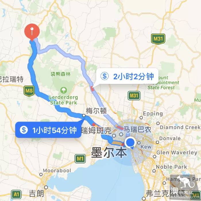 墨尔本三处最美薰衣草园，我要去当浪漫仙子啦