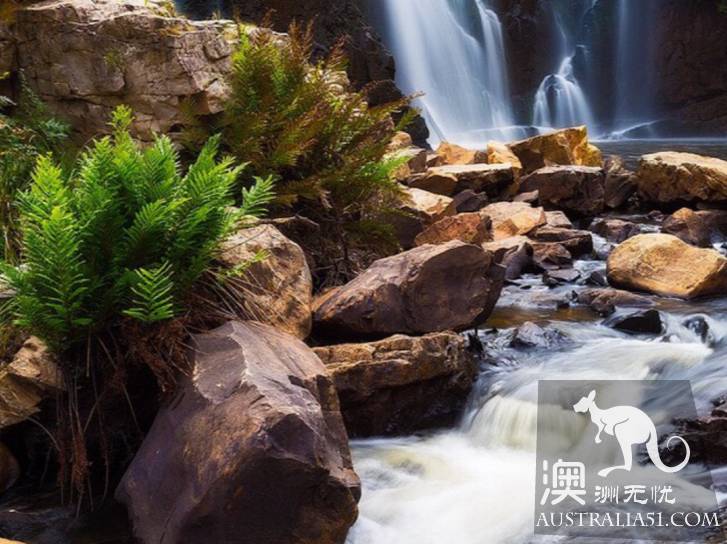 一篇指南带你玩遍维州格兰坪国家公园（Grampians National Park）