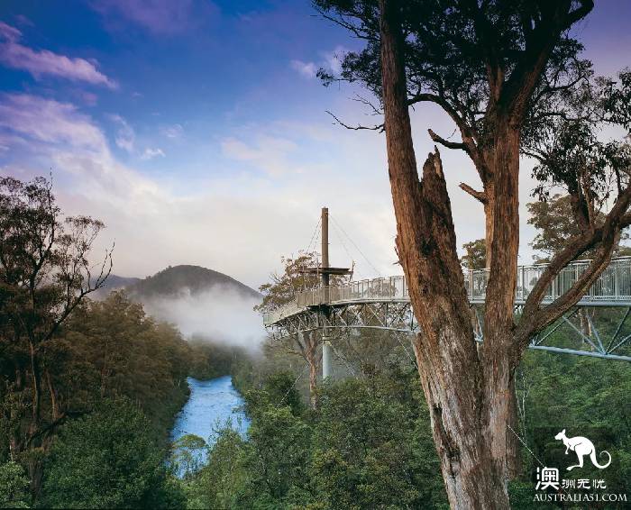 塔岛五大经典自驾路线，别再说不知道怎么玩啦