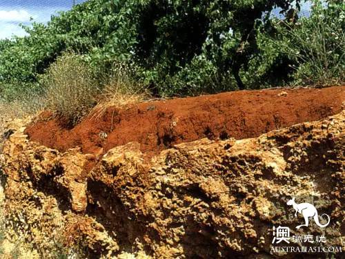现在必须要知道了，全澳九大葡萄酒产地，原来每一个都暗藏玄机