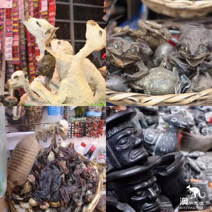 全球八大最具特色的市场，墨尔本维妈市场榜上有名，去过五个才算是旅行达人~