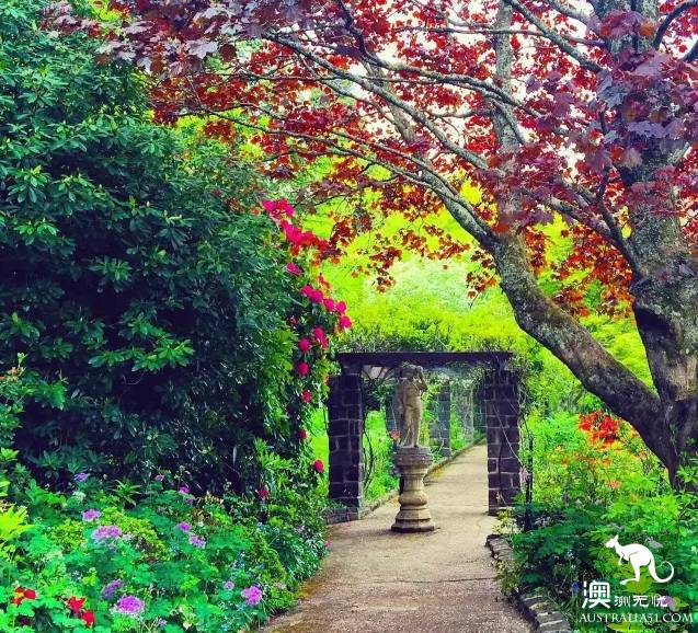 澳洲101个最美最好玩的全在这了,去完此生无憾