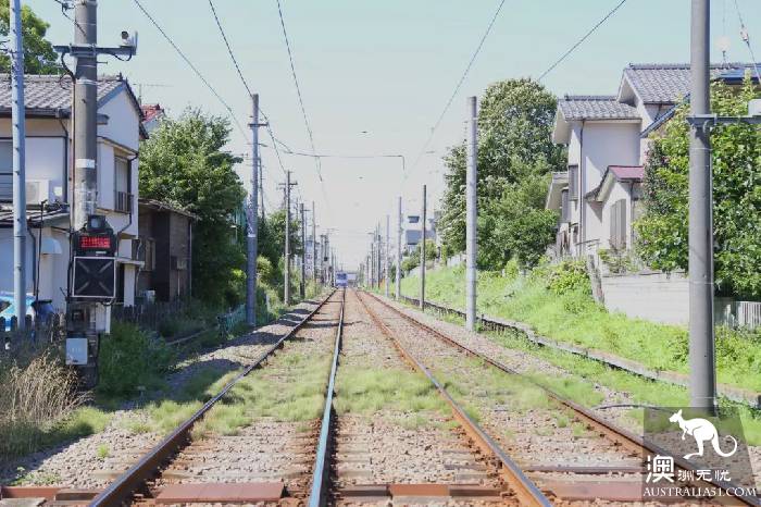 收藏!手把手教你如何在墨尔本申请各国签证(美国、新西兰、日本、英国、韩国、欧洲等)
