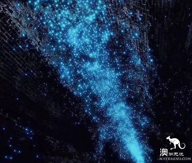 悉尼会有件神奇的事情发生，一群小精灵在悉尼城外，如梦似幻！