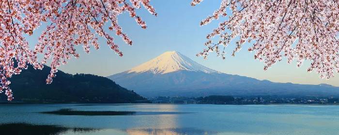 收藏!手把手教你如何在墨尔本申请各国签证(美国、新西兰、日本、英国、韩国、欧洲等)