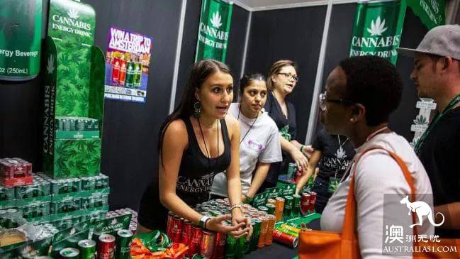 新西兰2020年或将大麻合法化，澳洲议员：澳洲立刻跟上
