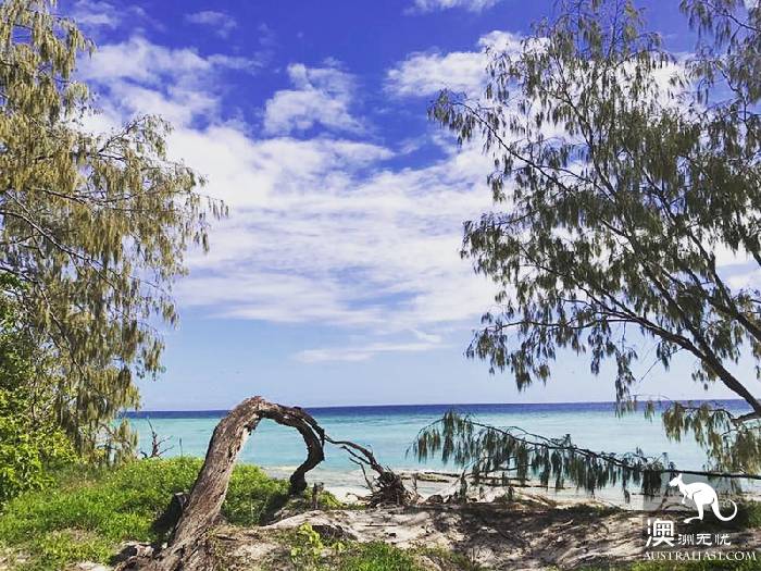 私藏的绝美珊瑚礁:怀抱中的马斯格雷夫夫人岛(Lady Musgrave Island)