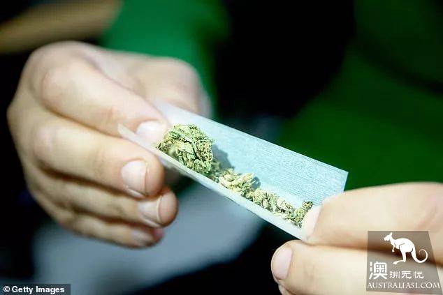 新西兰2020年或将大麻合法化，澳洲议员：澳洲立刻跟上